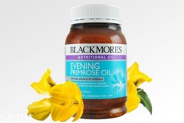 月見草膠囊的成分 月見草膠囊有哪些成分？