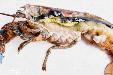 波士頓龍蝦頭里綠色的是什么？