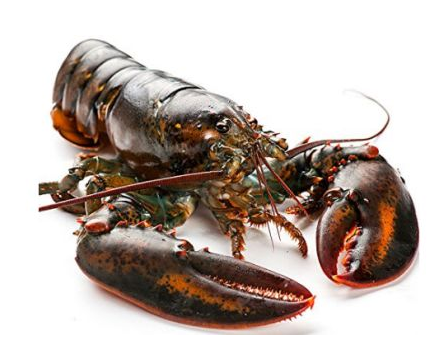 波士頓龍蝦死了還能吃嗎？死的波士頓龍蝦能吃嗎？