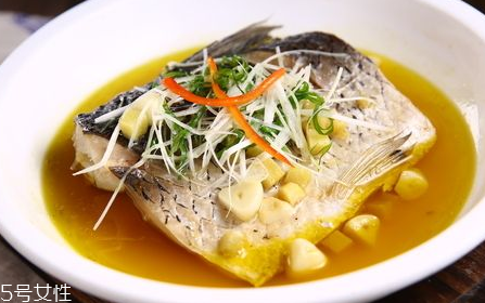 青魚怎么養(yǎng)殖?青魚好養(yǎng)嗎？