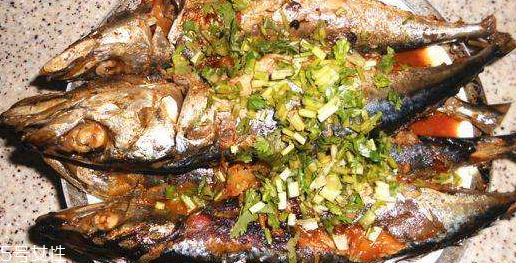 青魚和鲅魚的區(qū)別 青魚和鲅魚哪個更好吃 青魚和鲅魚的區(qū)別 青魚和鲅魚哪個更好吃