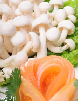 白玉菇和金針菇的區(qū)別 白玉菇是金針菇嗎？