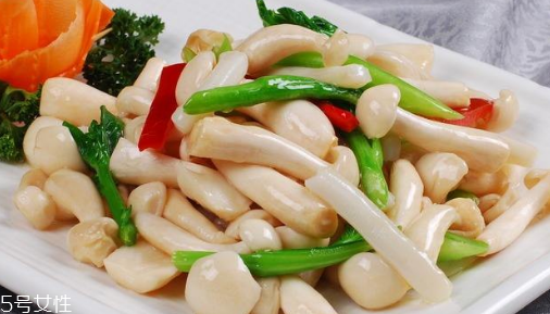 白玉菇的吃法 白玉菇能燉雞嗎？