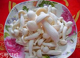 白玉菇能和西紅柿一起吃嗎？白玉菇能和番茄一起吃嗎？