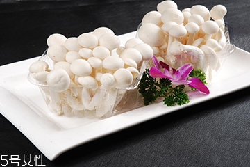 白玉菇長白毛是怎么回事？白玉菇長白毛還能吃嗎？