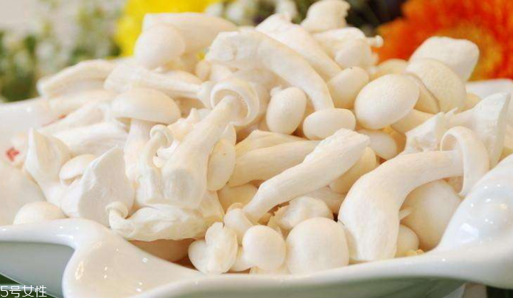 白玉菇長白毛是怎么回事？白玉菇長白毛還能吃嗎？