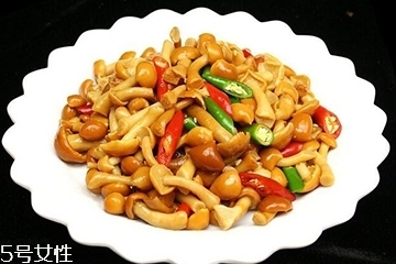 滑子菇是什么？滑子菇能吃嗎？