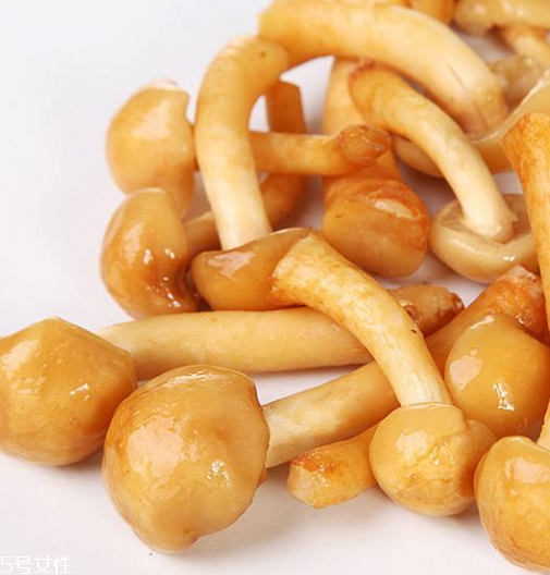 滑子菇是什么？滑子菇能吃嗎？