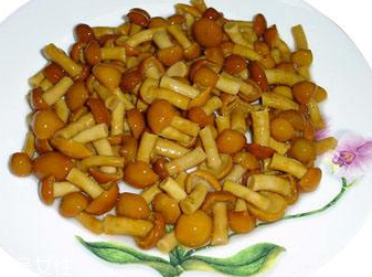 滑子菇的禁忌人群 哪些人不能吃滑子菇？