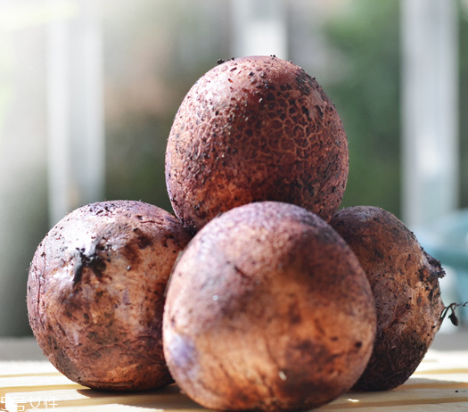 竹蓀蛋的做法 竹蓀蛋怎么做好吃？