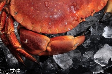 面包蟹是淡水還是海水？面包蟹長在淡水還是海水？