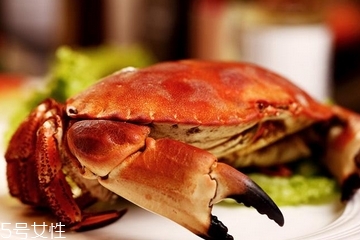 面包蟹是蒸還是煮？面包蟹蒸好吃還是煮好吃？