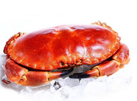 面包蟹是蒸還是煮？面包蟹蒸好吃還是煮好吃？