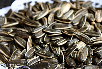 葵瓜子能種向日葵嗎？葵瓜子怎么種出向日葵？