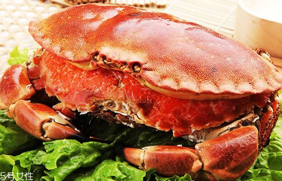 面包蟹能冷凍嗎？面包蟹可以放冰箱嗎？