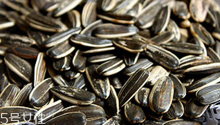 葵瓜子殼能吃嗎？葵瓜子殼吃了會怎樣？