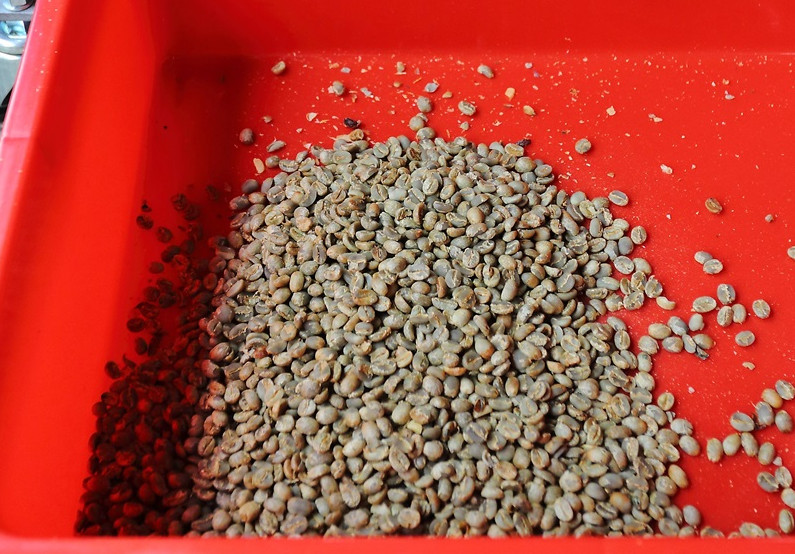 咖啡豆新豆、舊豆、老豆各有什么特色