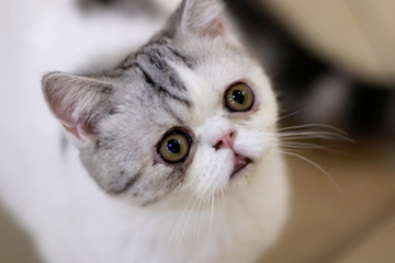 激光去黑眼圈有效嗎？激光去黑眼圈更黑