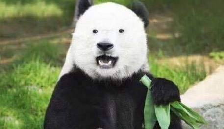 激光去黑眼圈多久恢復？激光除黑眼圈多久見效