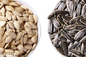 葵瓜子和南瓜子的區(qū)別 葵瓜子和南瓜子哪個好？