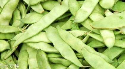 蕓豆是什么？蕓豆是豆角嗎？