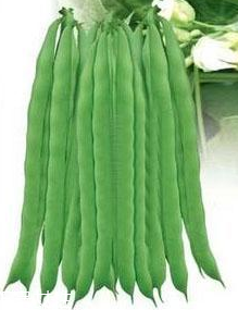 蕓豆能生吃嗎？蕓豆生吃會怎樣？