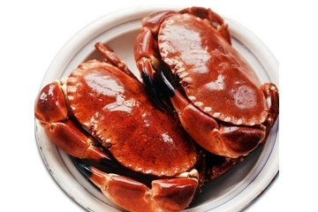 面包蟹為什么那么難吃？為什么說面包蟹很難吃？