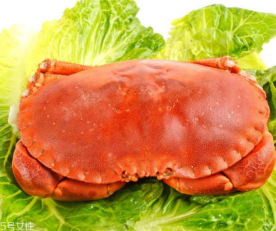 面包蟹肉多嗎？面包蟹幾月份最肥