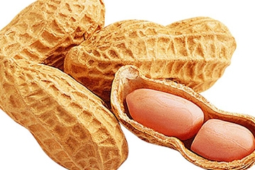 花生衣怎么吃補(bǔ)血小板？花生衣怎么吃補(bǔ)白細(xì)胞？