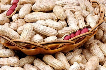 花生衣是生的還是熟的？花生衣生的好還是熟的好？