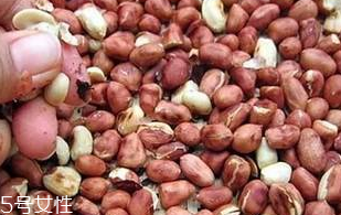 花生衣和花生衣粉的區(qū)別 花生衣粉難吃嗎？