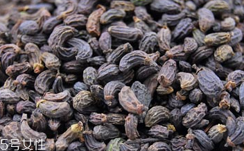 女貞子是藥物嗎？女貞子是做什么的？