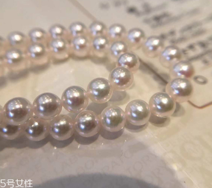 珍珠項(xiàng)鏈多少錢？珍珠項(xiàng)鏈真品價格