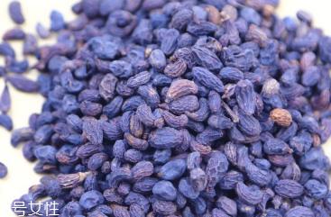 女貞子和枸杞子能一起吃嗎？女貞子和枸杞子一起吃有什么效果？