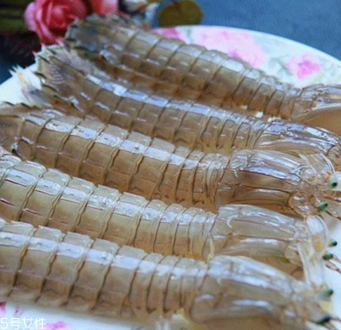 皮皮蝦能長多大？皮皮蝦最大有多大？