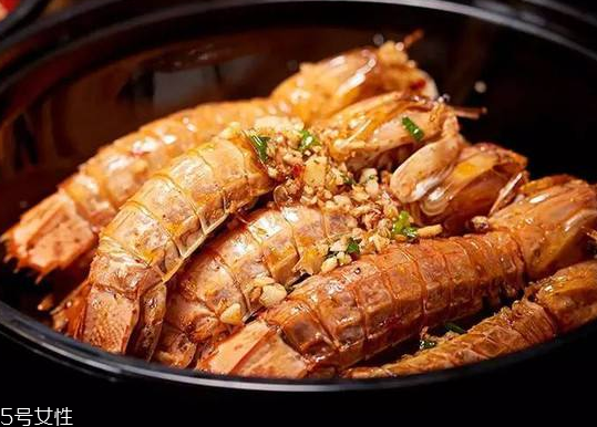 皮皮蝦能長多大？皮皮蝦最大有多大？