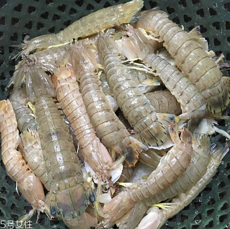 皮皮蝦能和櫻桃一起吃嗎？皮皮蝦和櫻桃可以同吃嗎？