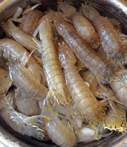 皮皮蝦能和荔枝一起吃嗎？皮皮蝦可以和荔枝同吃嗎？