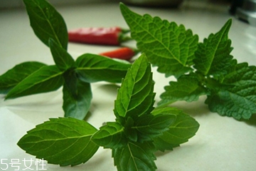 藿香和頭孢能一起吃嗎？藿香和頭孢能一起吃嗎？