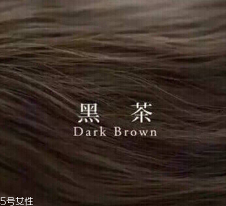 黑茶色適合長發(fā)嗎 黑茶色適合男生嗎 黑茶色適合長發(fā)嗎 黑茶色適合男生嗎