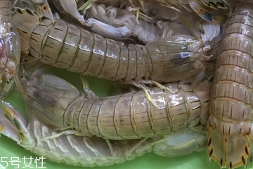 皮皮蝦皮能不能吃？皮皮蝦可以連皮吃嗎？