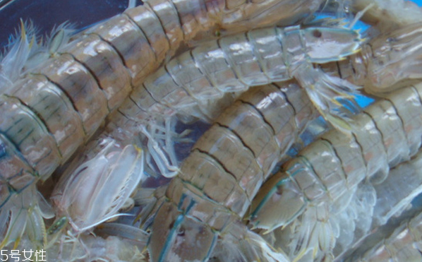 皮皮蝦皮能不能吃？皮皮蝦可以連皮吃嗎？