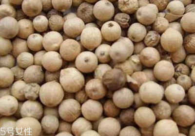 白胡椒是什么？白胡椒是白色的？