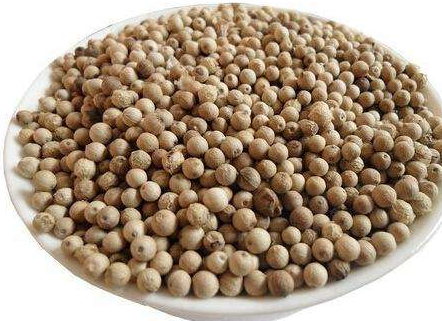 白胡椒能代替黑胡椒嗎？白胡椒的營(yíng)養(yǎng)價(jià)值