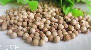 白胡椒能代替黑胡椒嗎？白胡椒的營(yíng)養(yǎng)價(jià)值