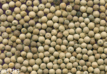 白胡椒的種植 白胡椒怎么種植？