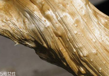 姜糖的熱量 姜糖會(huì)讓人長(zhǎng)胖嗎？