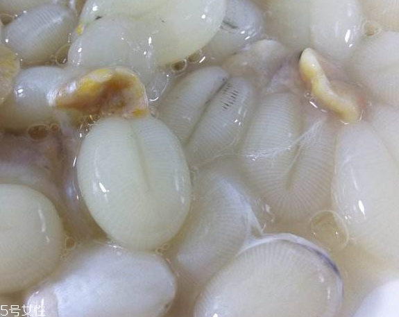 墨魚(yú)蛋的做法 墨魚(yú)蛋怎么做？