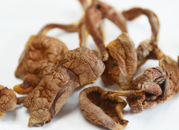 榛蘑和蘿卜相克嗎？榛蘑能不能和蘿卜一起吃？