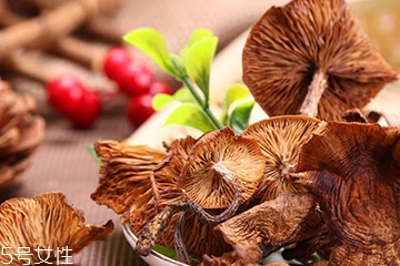榛蘑和蘿卜相克嗎？榛蘑能不能和蘿卜一起吃？